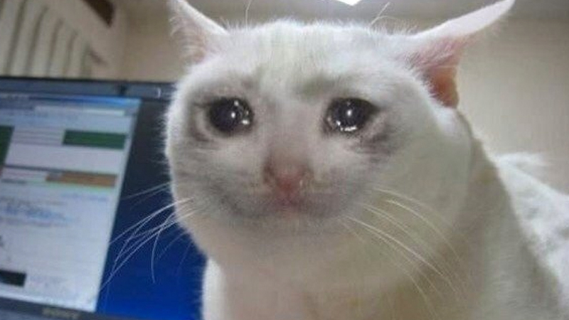 AI Generated Crying Face Meme