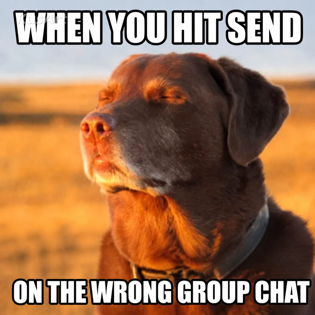Cooked dog meme captioned 'when you hit send on the wrong group chat'