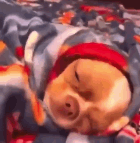 Funny dog memes example showing a smug dog wrapped in a cozy blanket