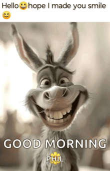 Good morning meme with a cute cat and a 'good morning' greeting caption