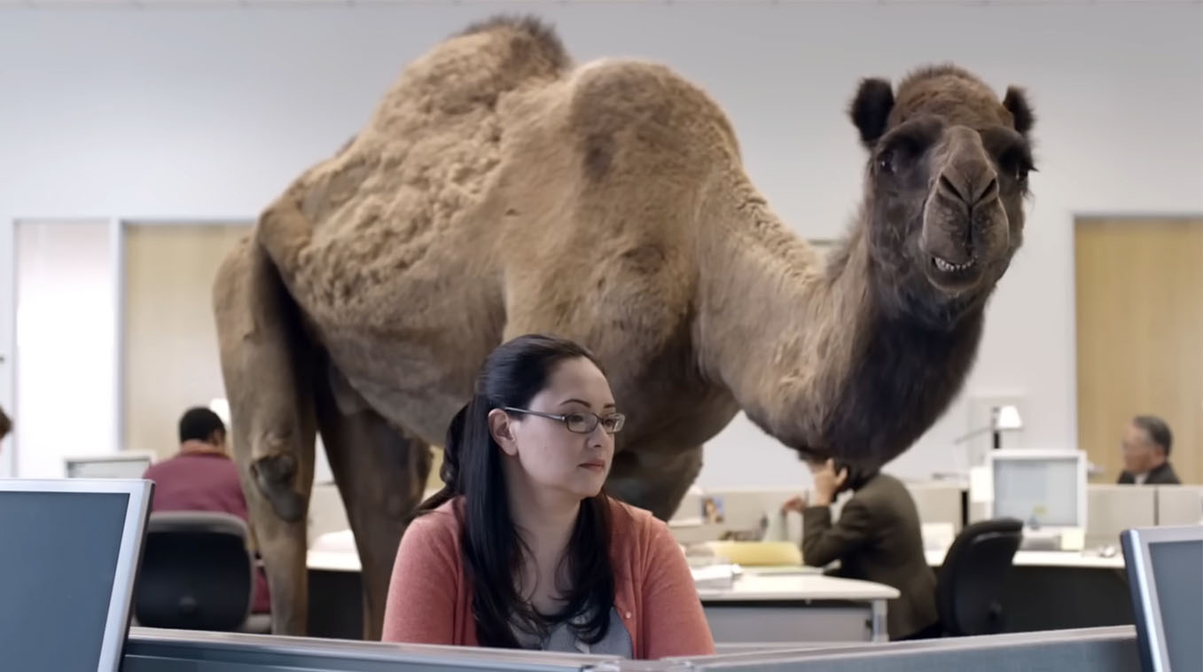 AI Generated Hump Day Meme