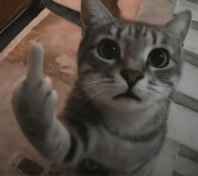 AI Generated Middle Finger Meme