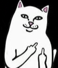 Middle finger meme of a smirking white cartoon cat holding up both middle fingers
