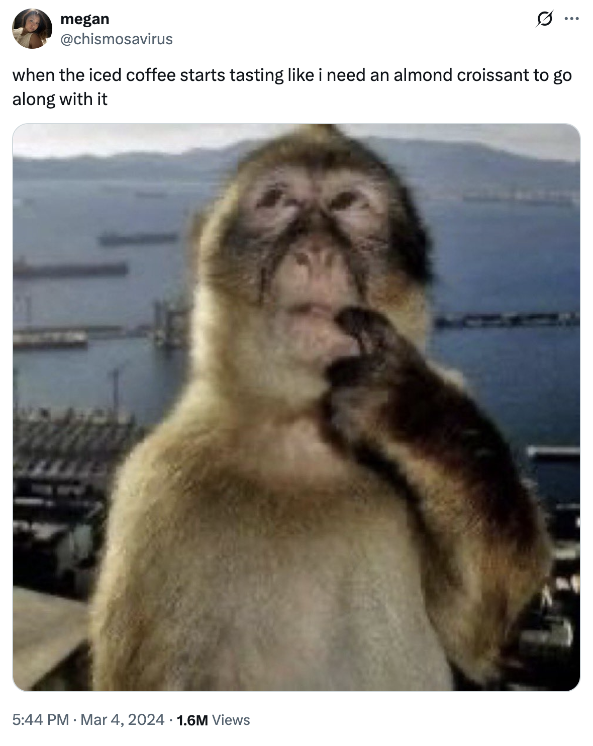 Nachdenkender-Affe-Meme, geteilt als nachvollziehbare Social-Bildunterschrift über Lust auf Eiskaffee