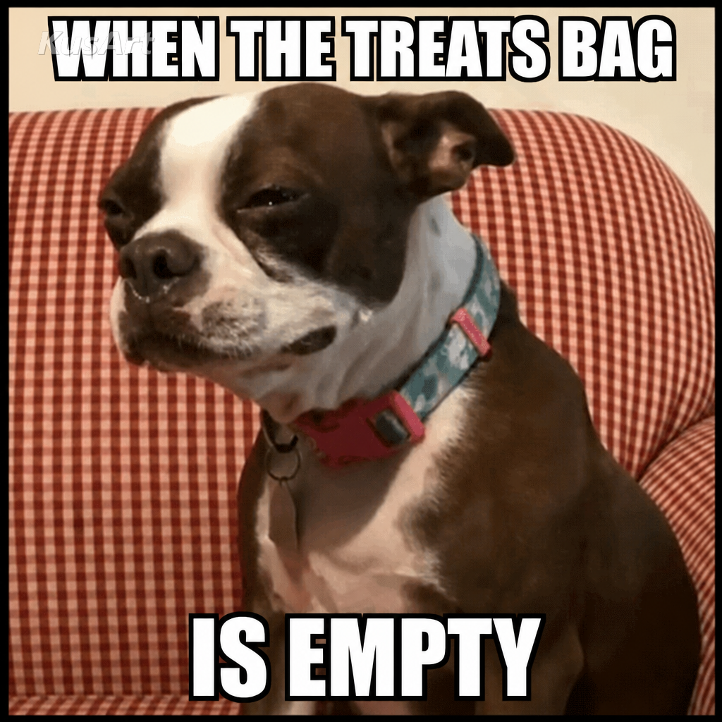 Sad dog meme captioned 'when the treats bag / is empty'