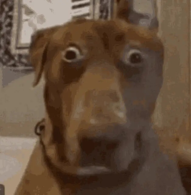 AI Generated Scared Dog Meme