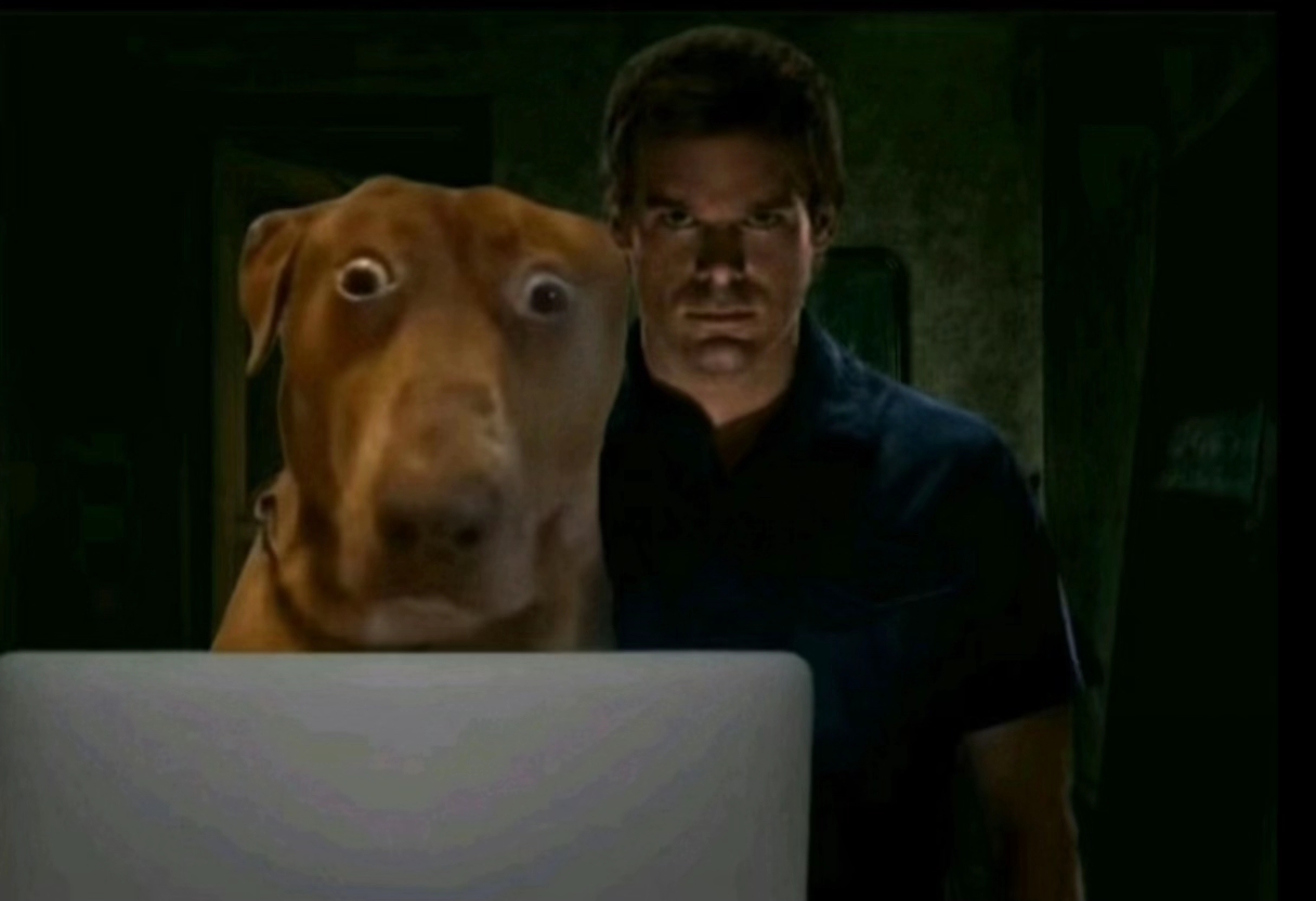 Scared dog edited into a dark scene staring wide-eyed at a screen