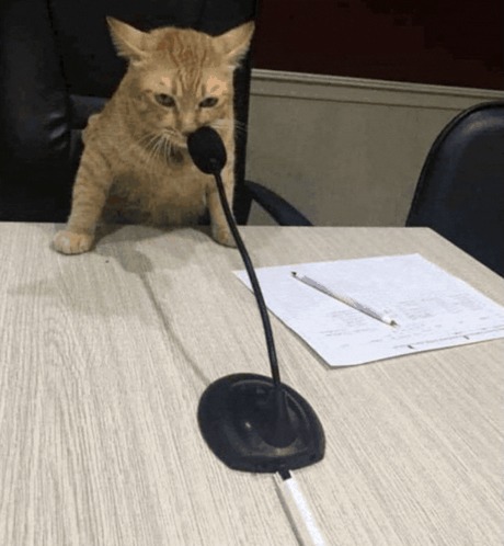 AI Generated Would Meme